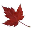 clanlogo
