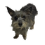 clanlogo
