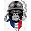 clanlogo