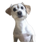 clanlogo